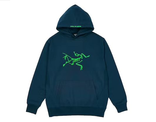 Arc'Teryx Arc'Teryx Hood Teal