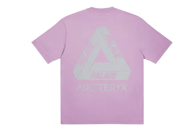 Palace Arc'teryx T-shirt Haze