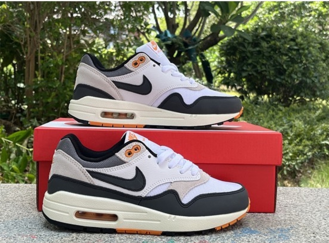 Nike Air Max 1 