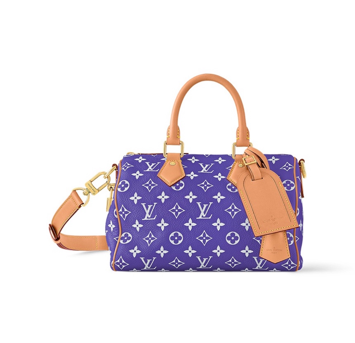 L0vis Vvtt0n Speedy P9 Bandoulière 25