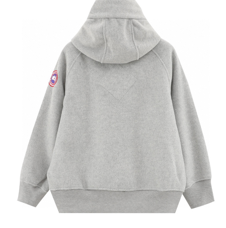 Can*a G00se  Chilliwack 2024