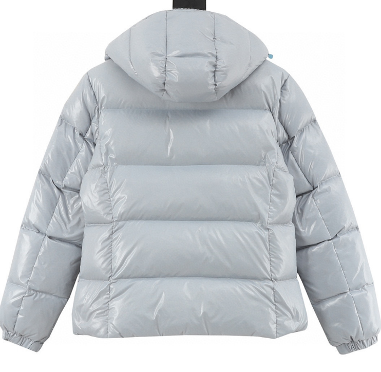 Moncler Glareins Down Jacket 2025