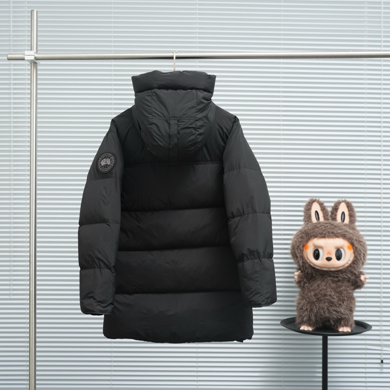 Can*a G00se Lawrence